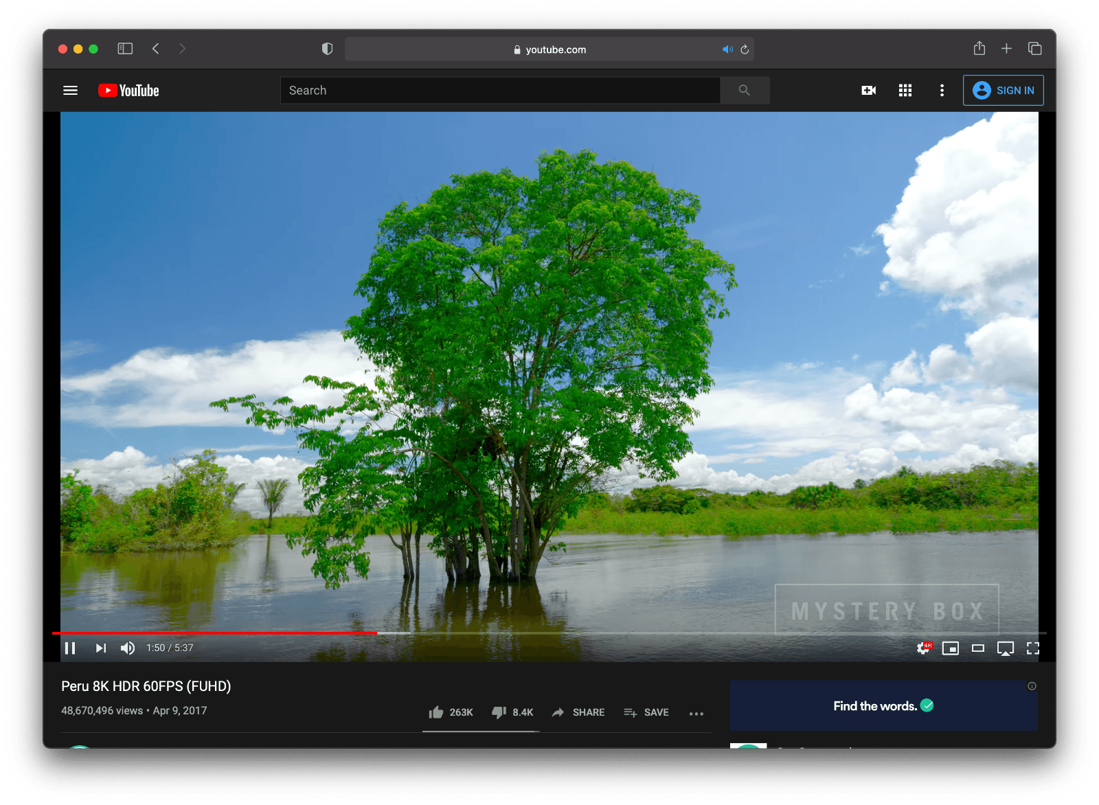Playing 8K YouTube footage at 4K in Safari using my 2018 Mac mini.