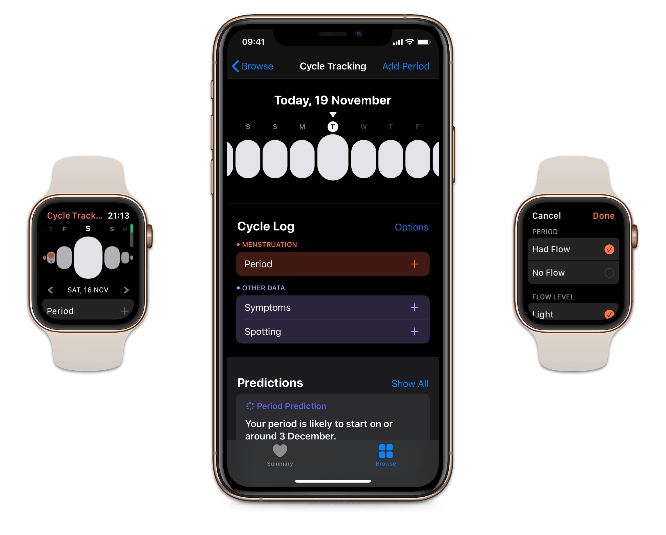 The Cycle Tracking app on watchOS and inside Health on iOS.