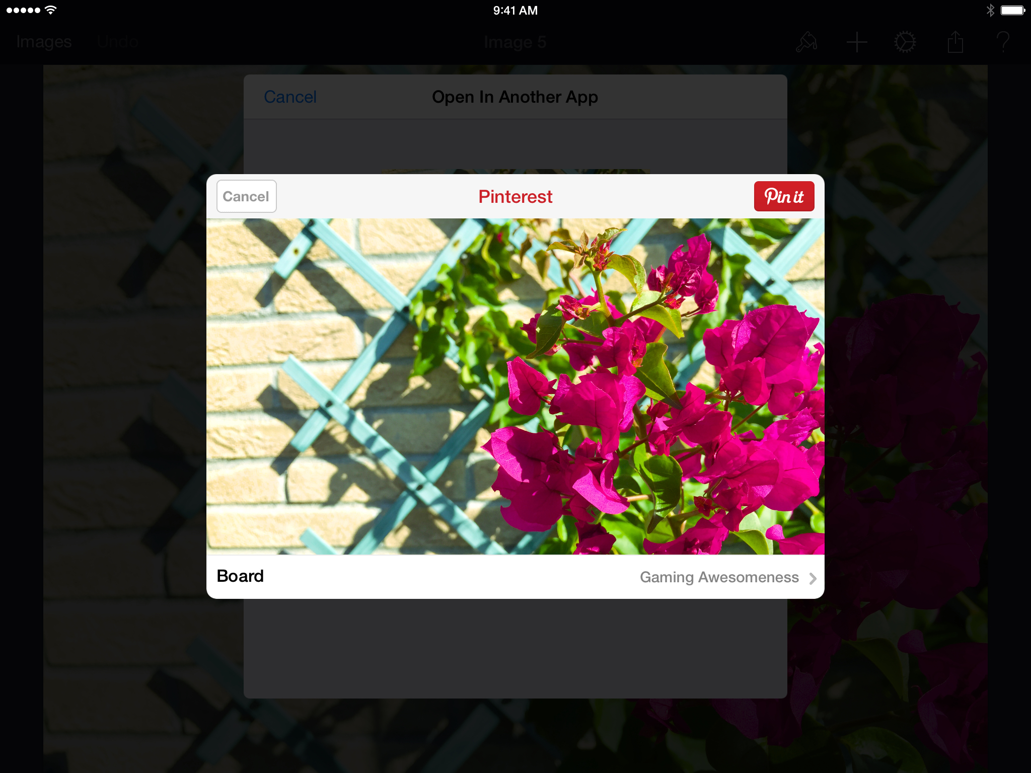 The Pinterest extension in Pixelmator for iPad.