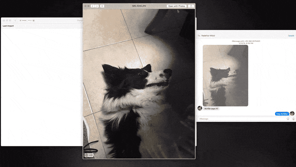 Importing a Live Photo of Achille into Photos.
