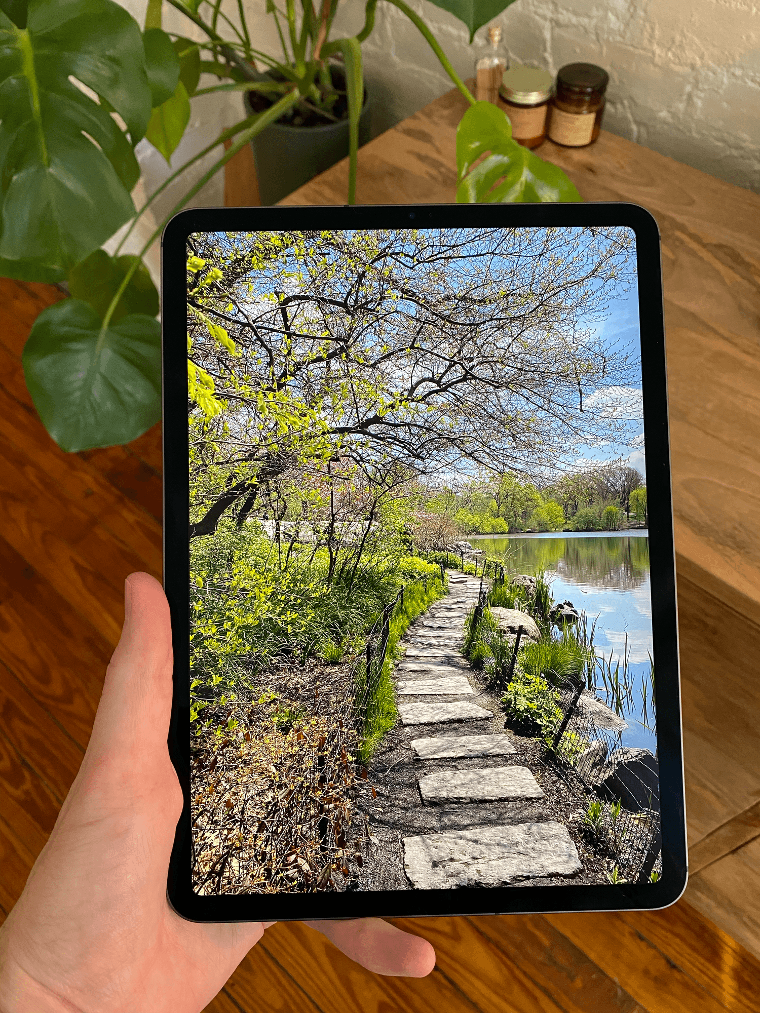 Nothing beats the 11-inch iPad Pro for viewing photos.