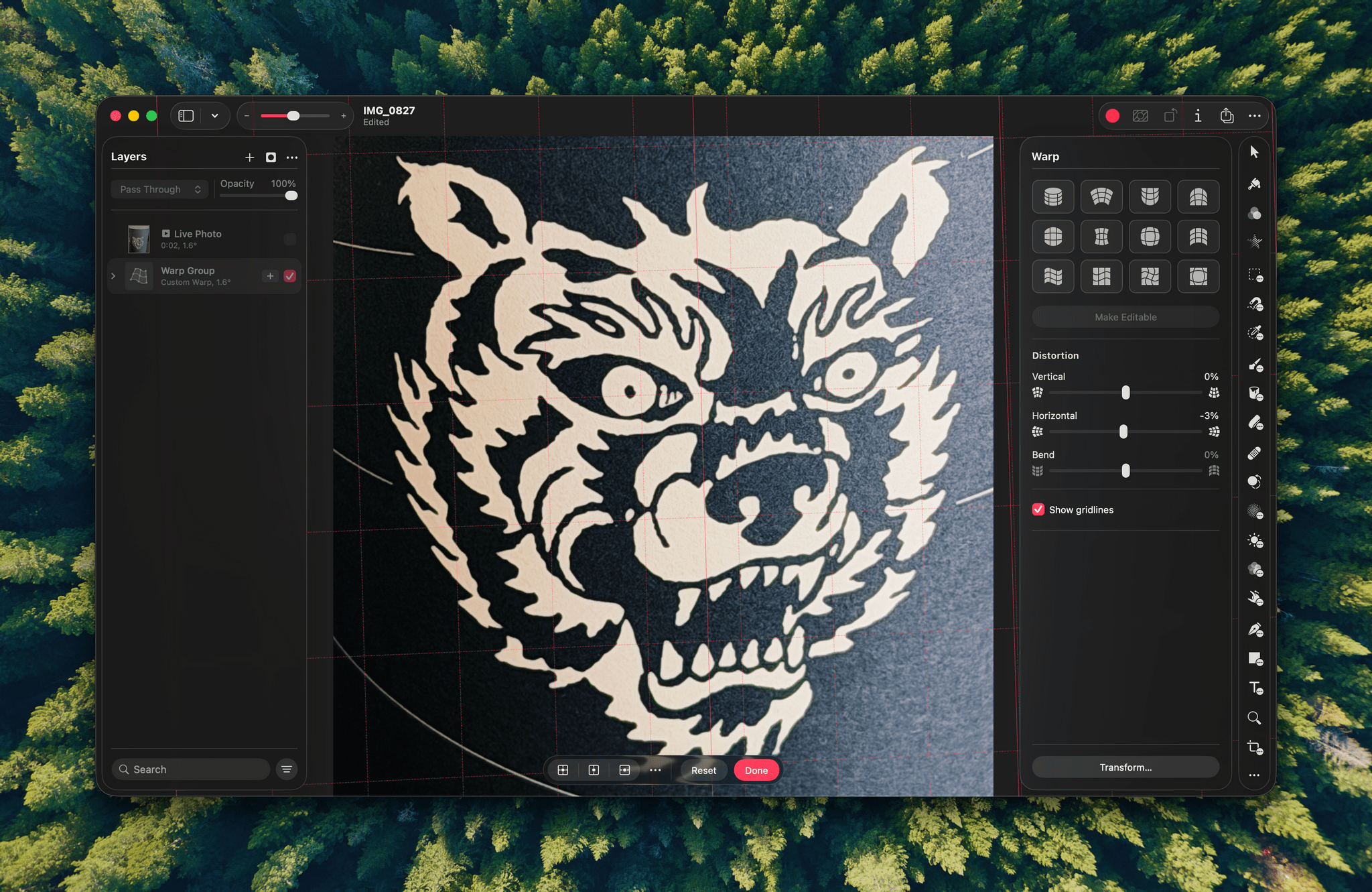 Playing with Pixelmator Pro's new Warp tool.