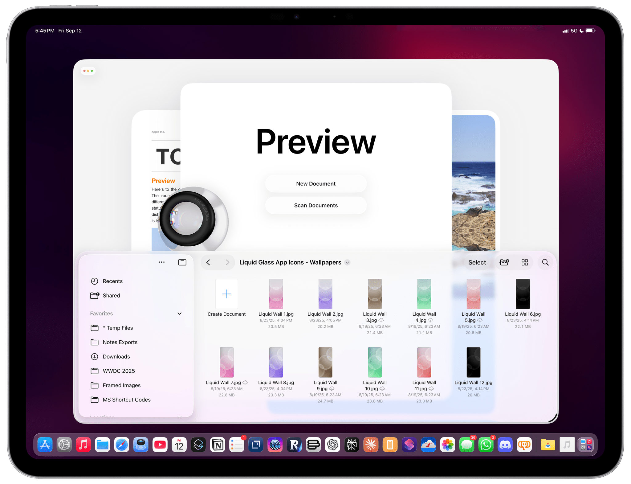 The new Preview app for iPad.