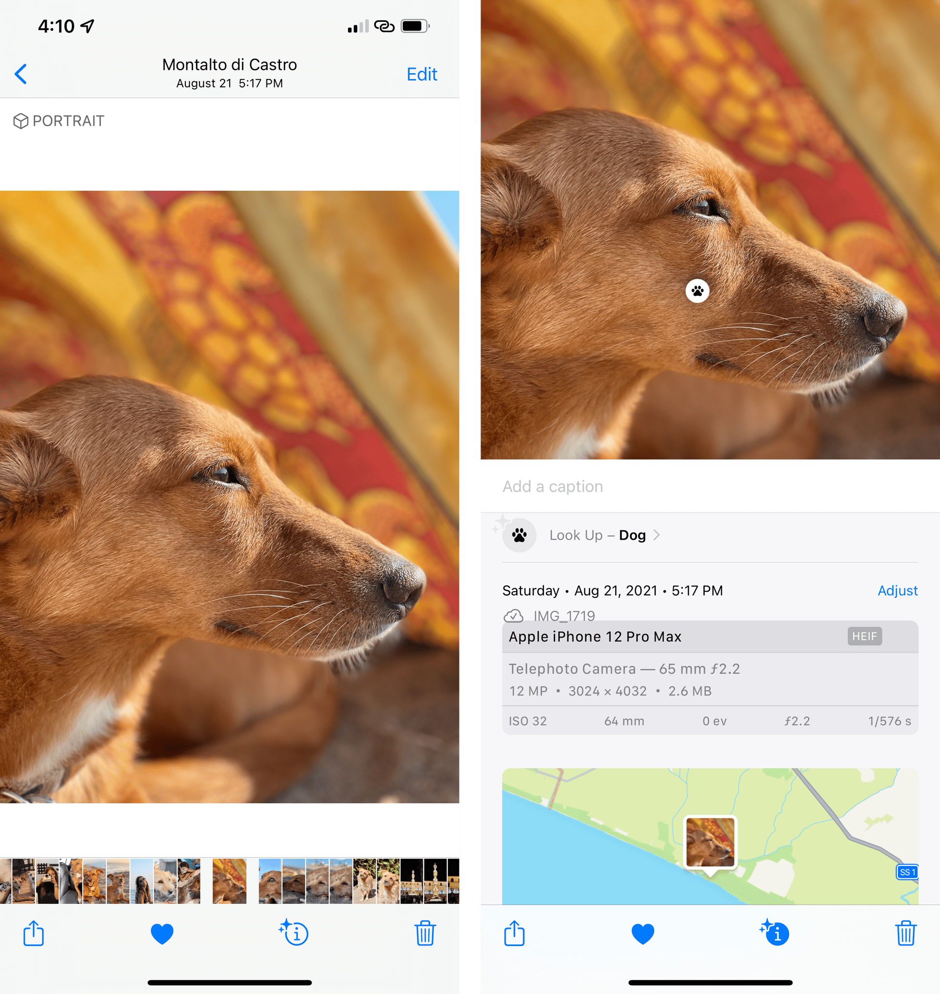 The new info panel in Photos for iOS 15.