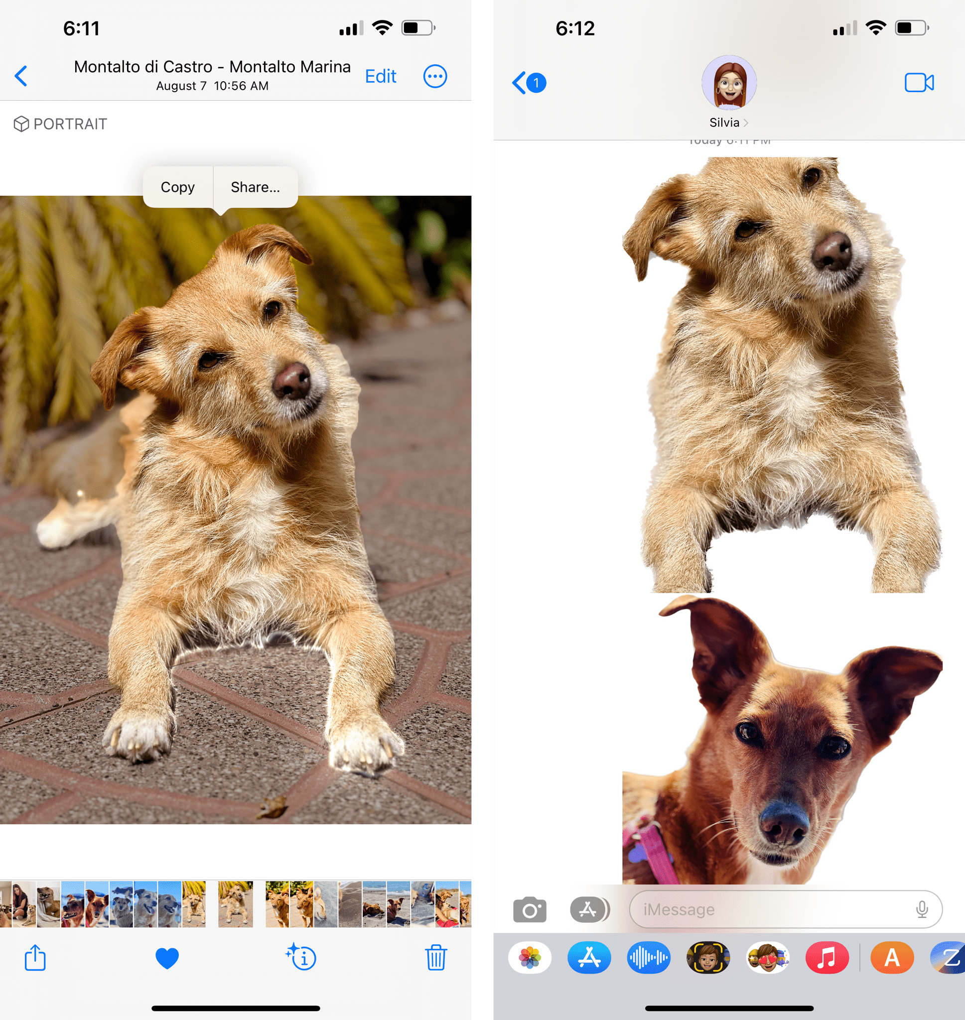 Dog PNGs thanks to Photos in iOS 16.