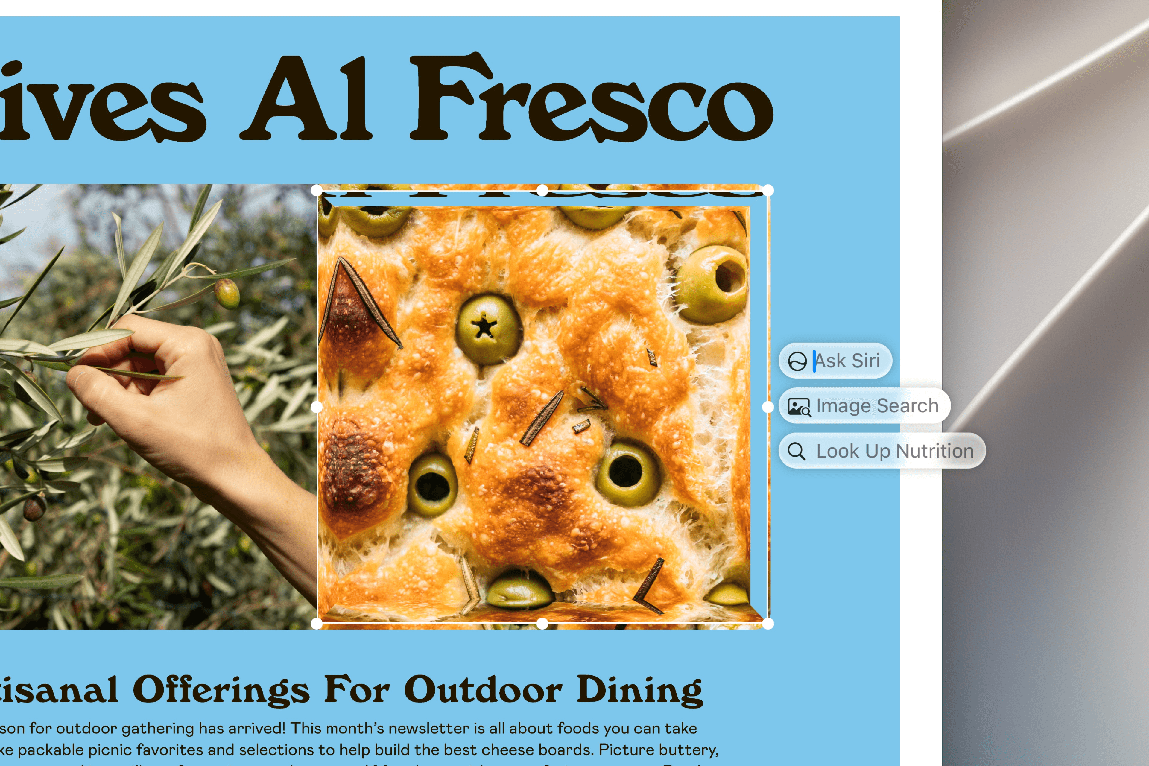 Visual Intelligence on macOS. Source: Apple.