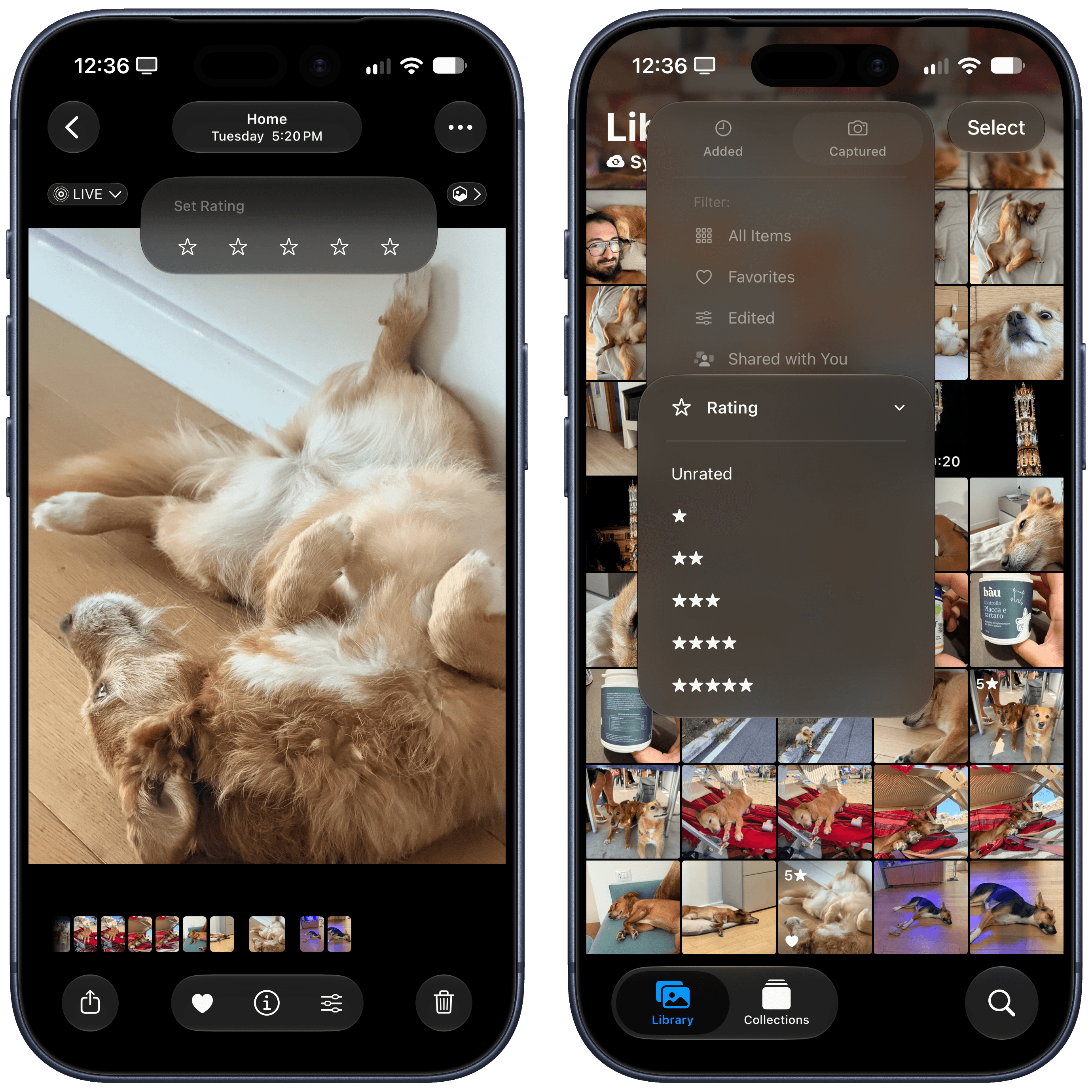 I think there’s a bug with this feature? All my dog photos are getting five stars.