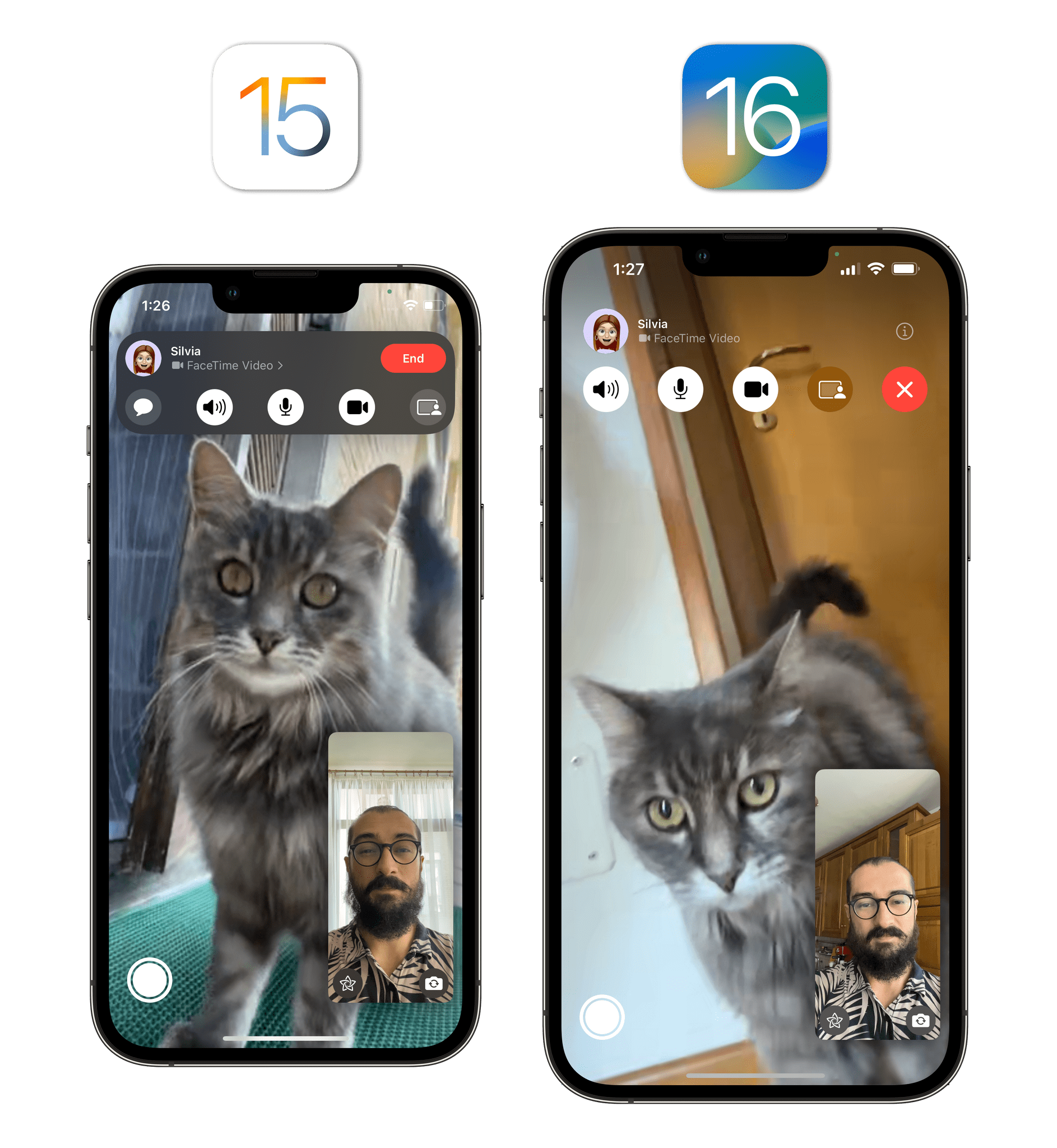 In iOS 16, you'll be able to see more cat. Or a door handle, in this case.