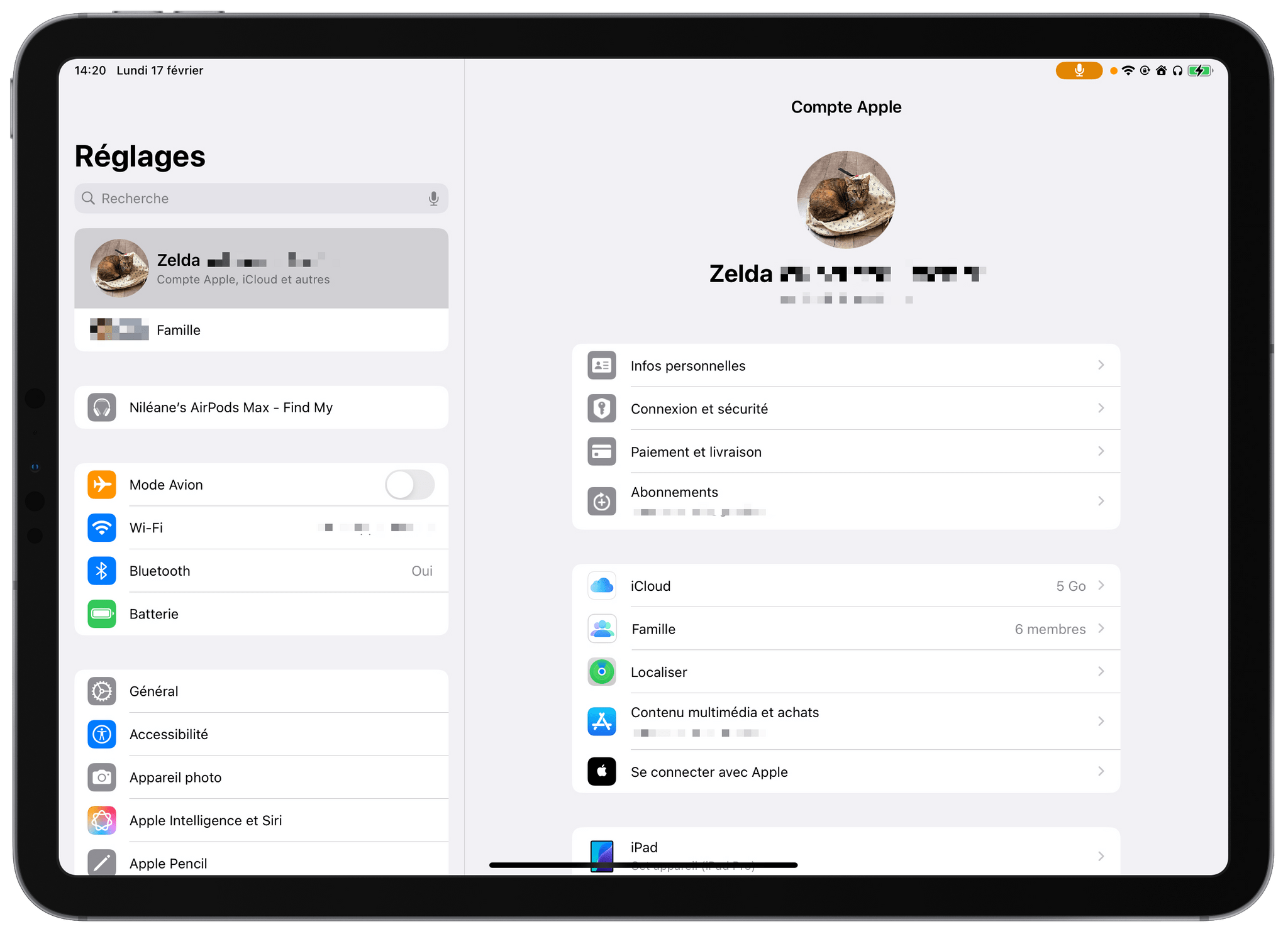 I created a brand-new Apple Account dedicated to our shared iPad. I named it after our only child (our cat, Zelda).