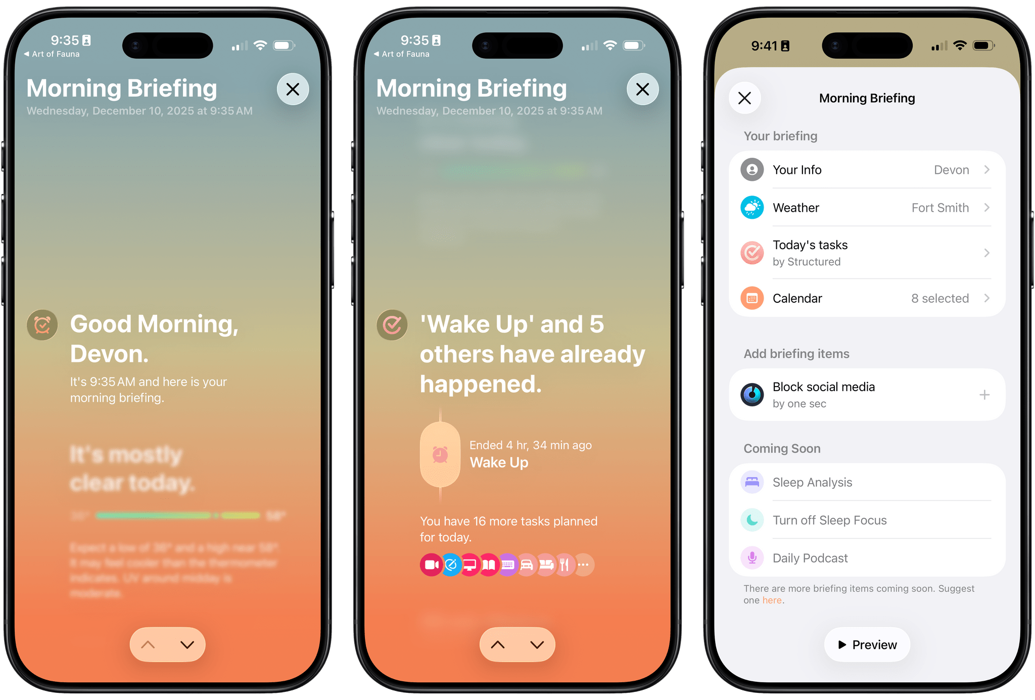 The morning briefing and its various options.